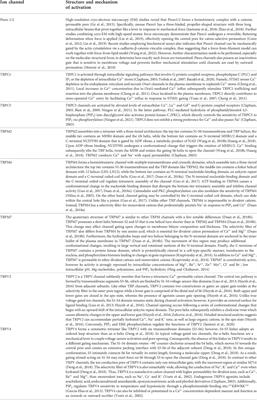 The interplay between physical cues and mechanosensitive ion channels in cancer metastasis